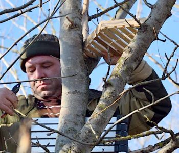 Установка искусственных площадок для голубей